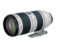 Up to $300 off with new Canon instant rebates